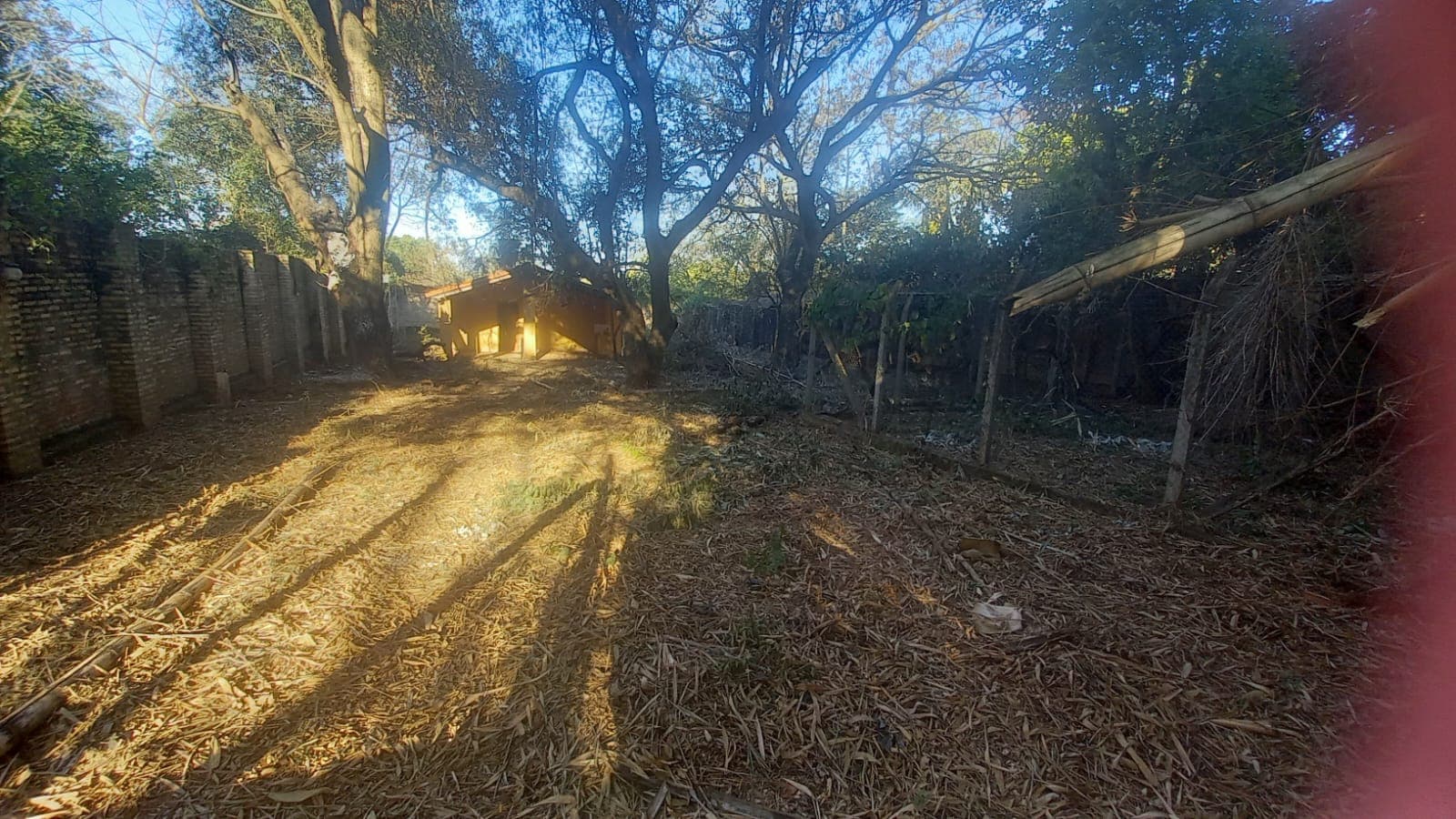 Vendo Propiedad de 4.650 m2 en Maramburé, Luque. Cod 037