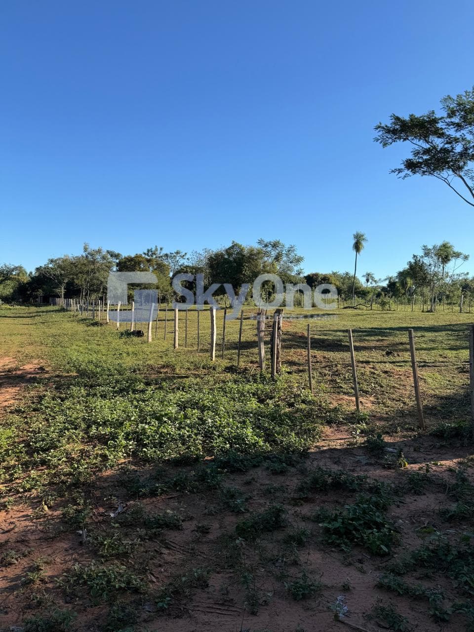 Oportunidad única en carapegua – zona loma barrio virgen de fátima !!