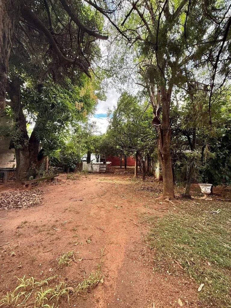 Terreno Premium para Desarrollo Inmobiliario – Barrio Los Laureles, foto 2