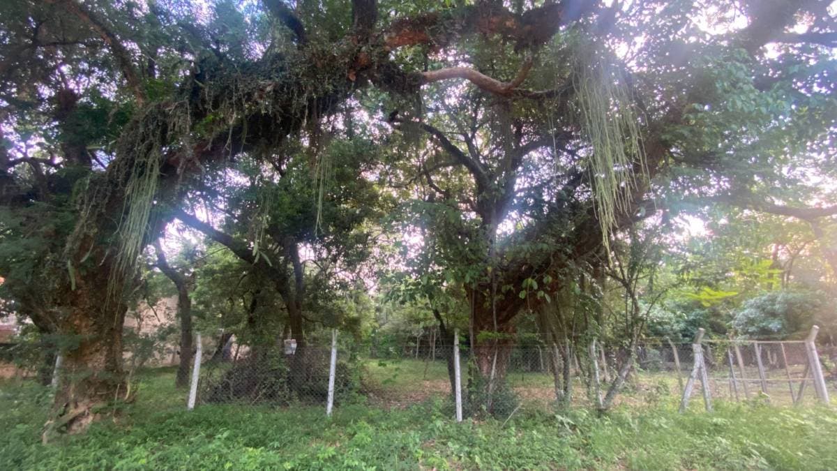Terreno con arroyo en sanber, foto 3