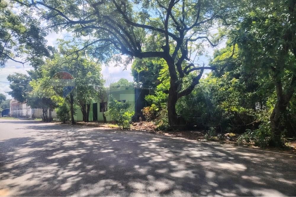 Terreno estratégico en venta, San Lorenzo, 420 m², foto 2