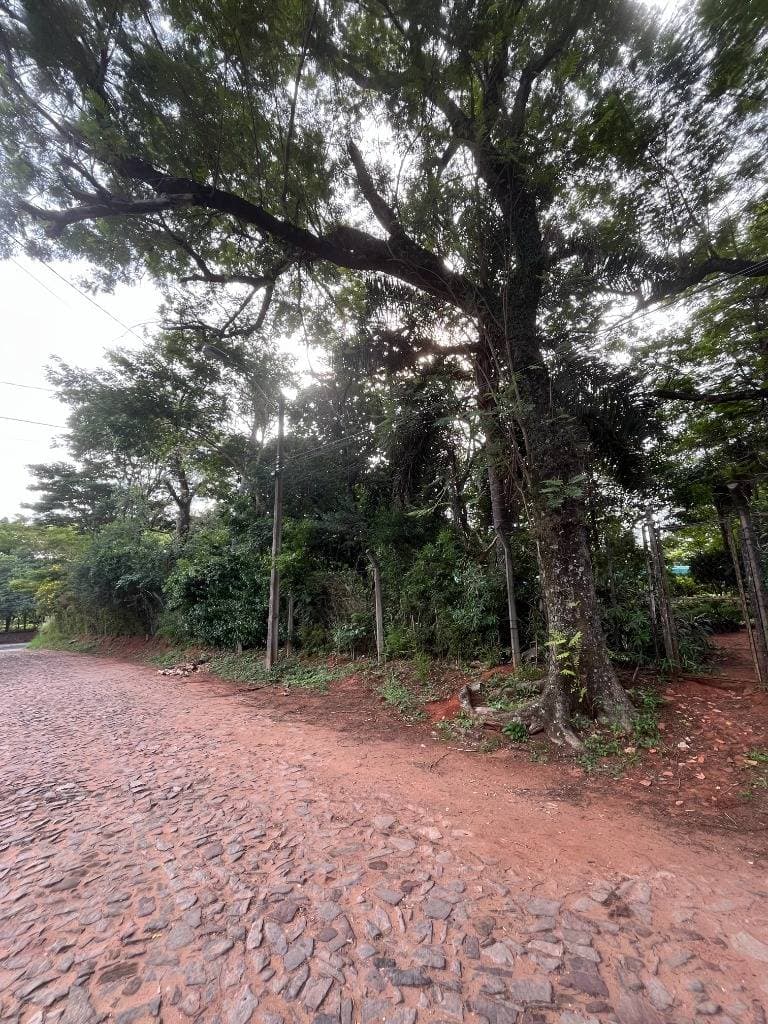 Terreno en el centro de Villa Elisa sobre avenida principal, foto 2