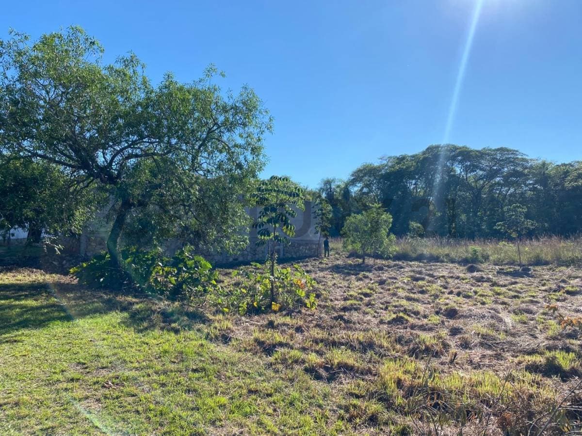 Terreno de 1.200 m2 en San Bernardino, foto 4