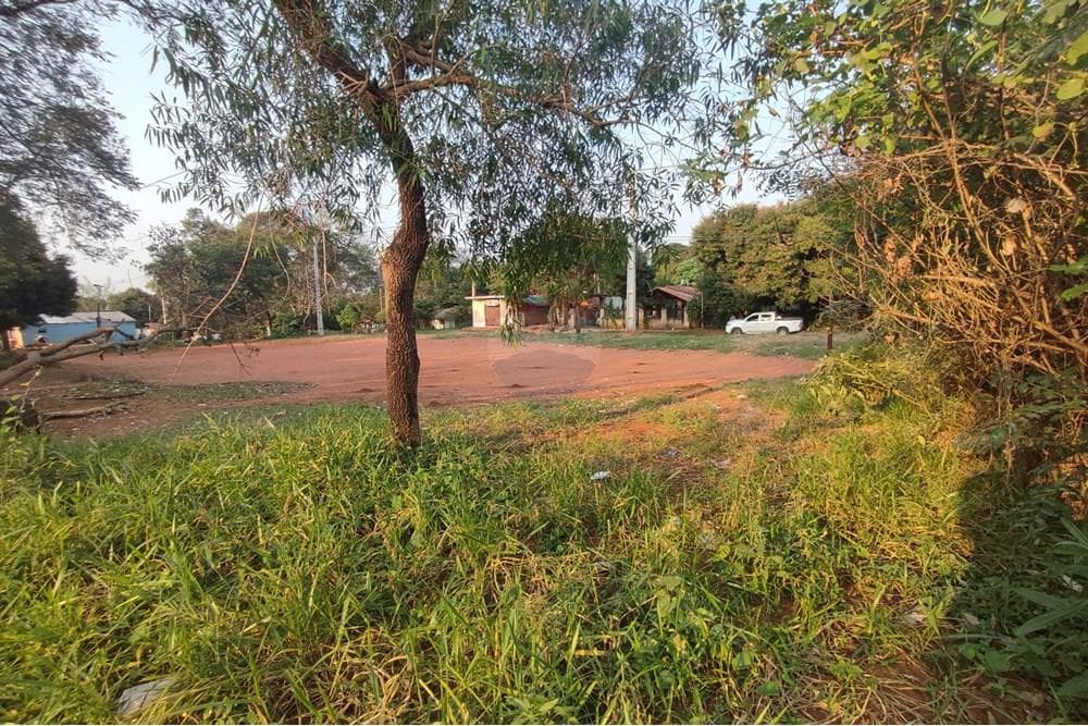 Terreno en Luque cañada garay, foto 2