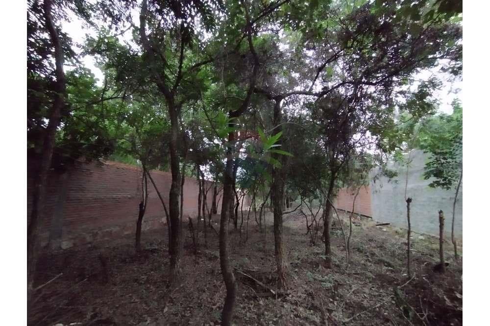 Terreno - Venta - Paraguay Central Luque, foto 2