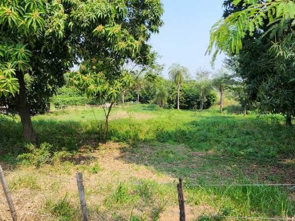 Terreno Zona Ruta Luque - Limpio — foto 2