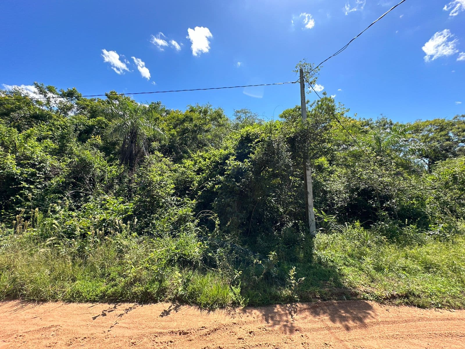 VENDO 3 LOTES - Ciervo Cua - San Bernardino