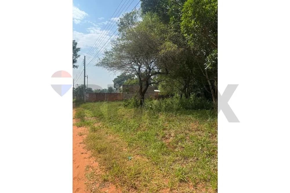 Terreno en Luque cañada san rafael, foto 4