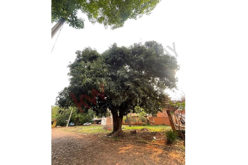 Terreno en tercer barrio - Luque, foto 2