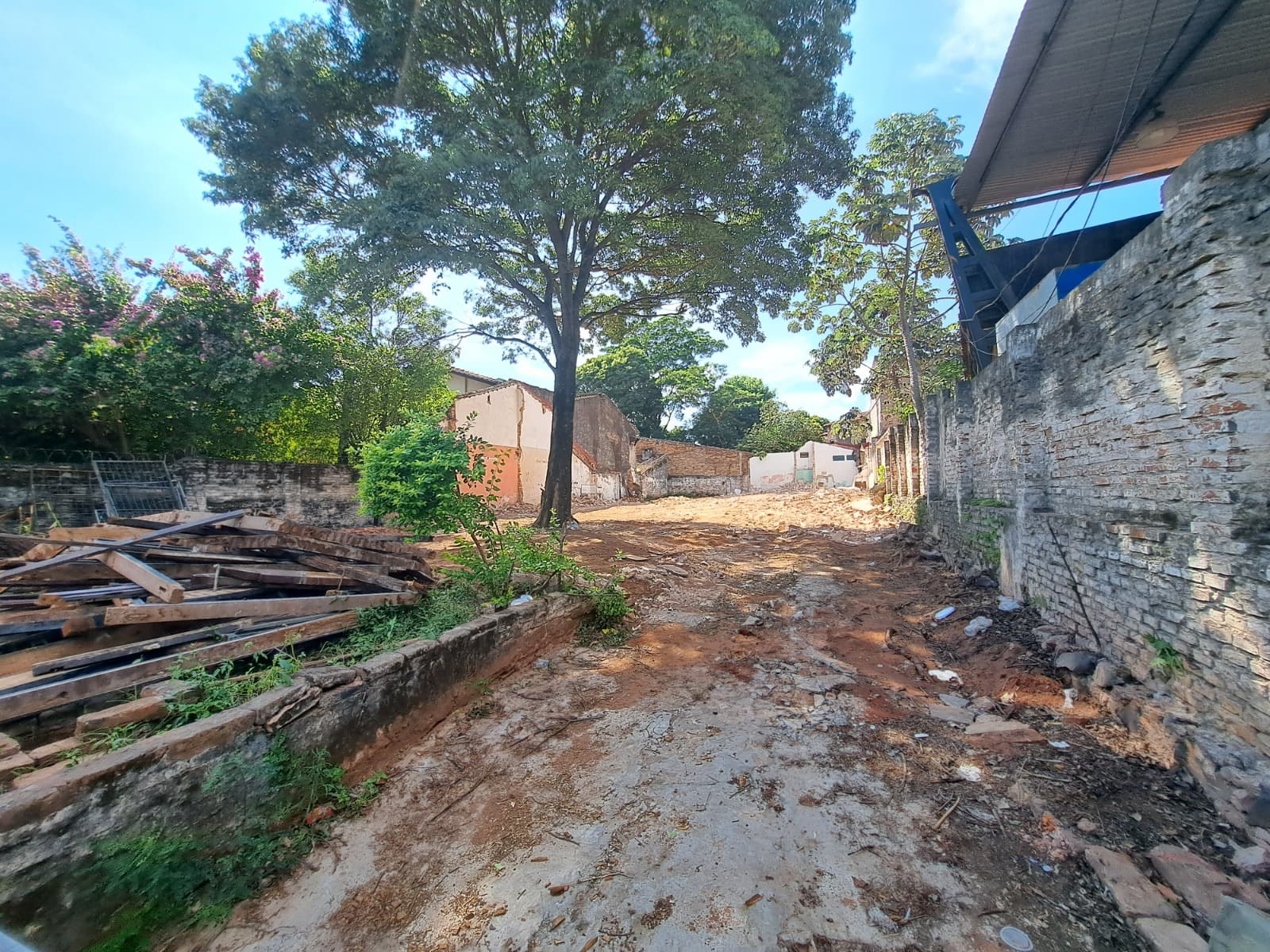 Exclusivo Terreno en Venta sobre la Prestigiosa Avda. Félix Bogado — foto 3