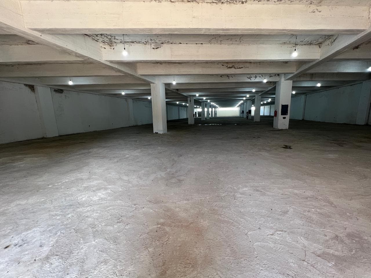 En Alquiler Amplio Depósito de 5.000 m2 libres - Asunción A415, foto 1