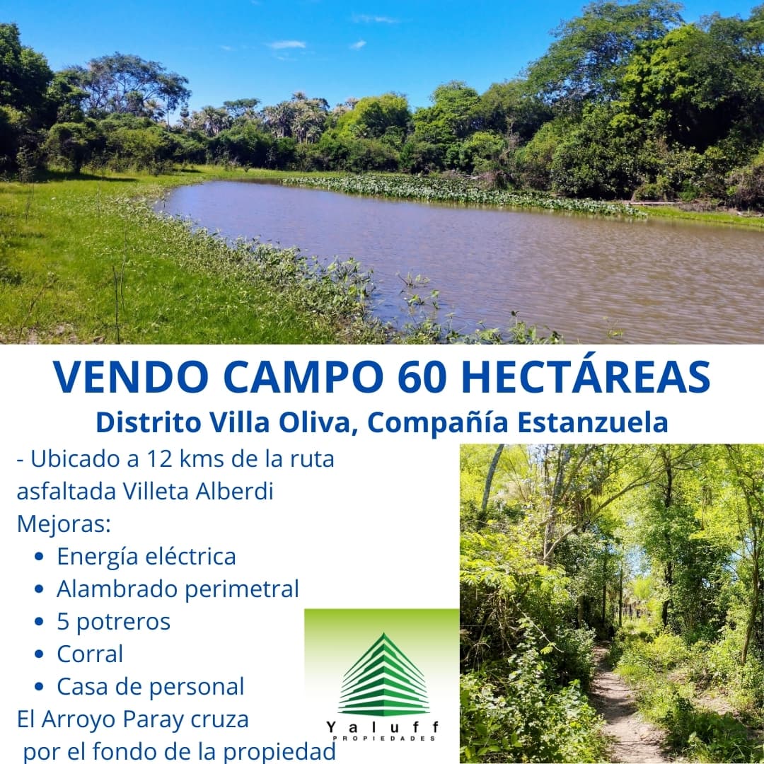 Campo en estanzuela villa oliva de 60 has para ganadería — foto principal