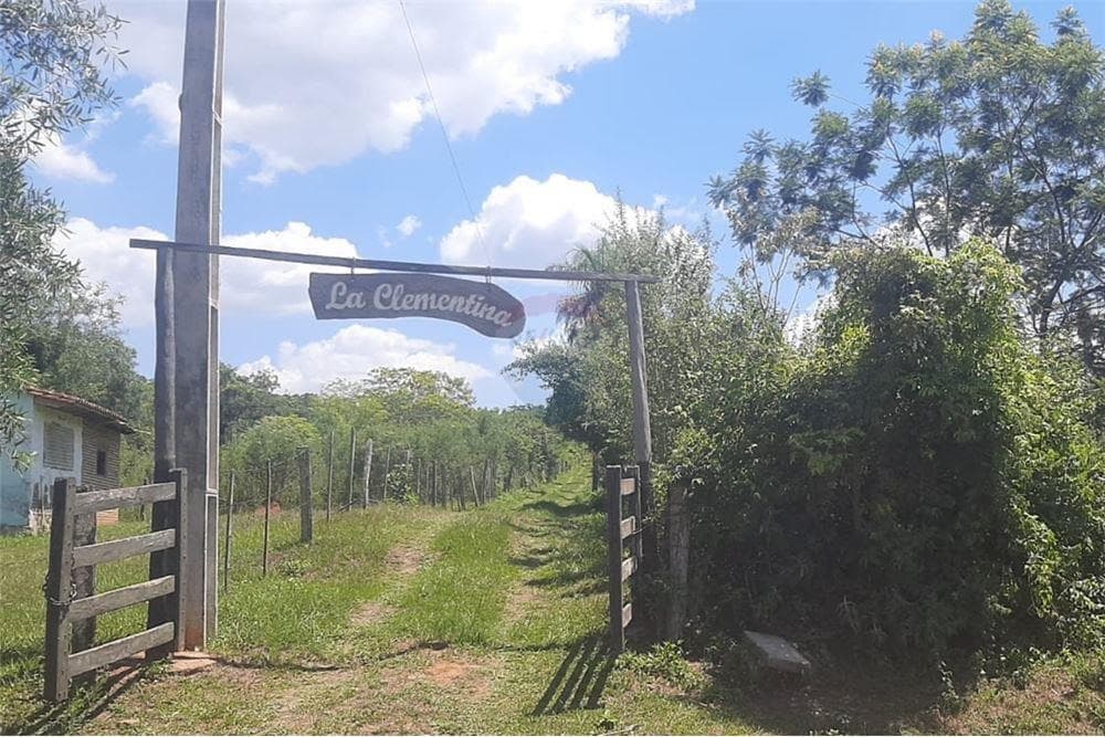 11 hectareas en altos de pura vegetacion, foto 1