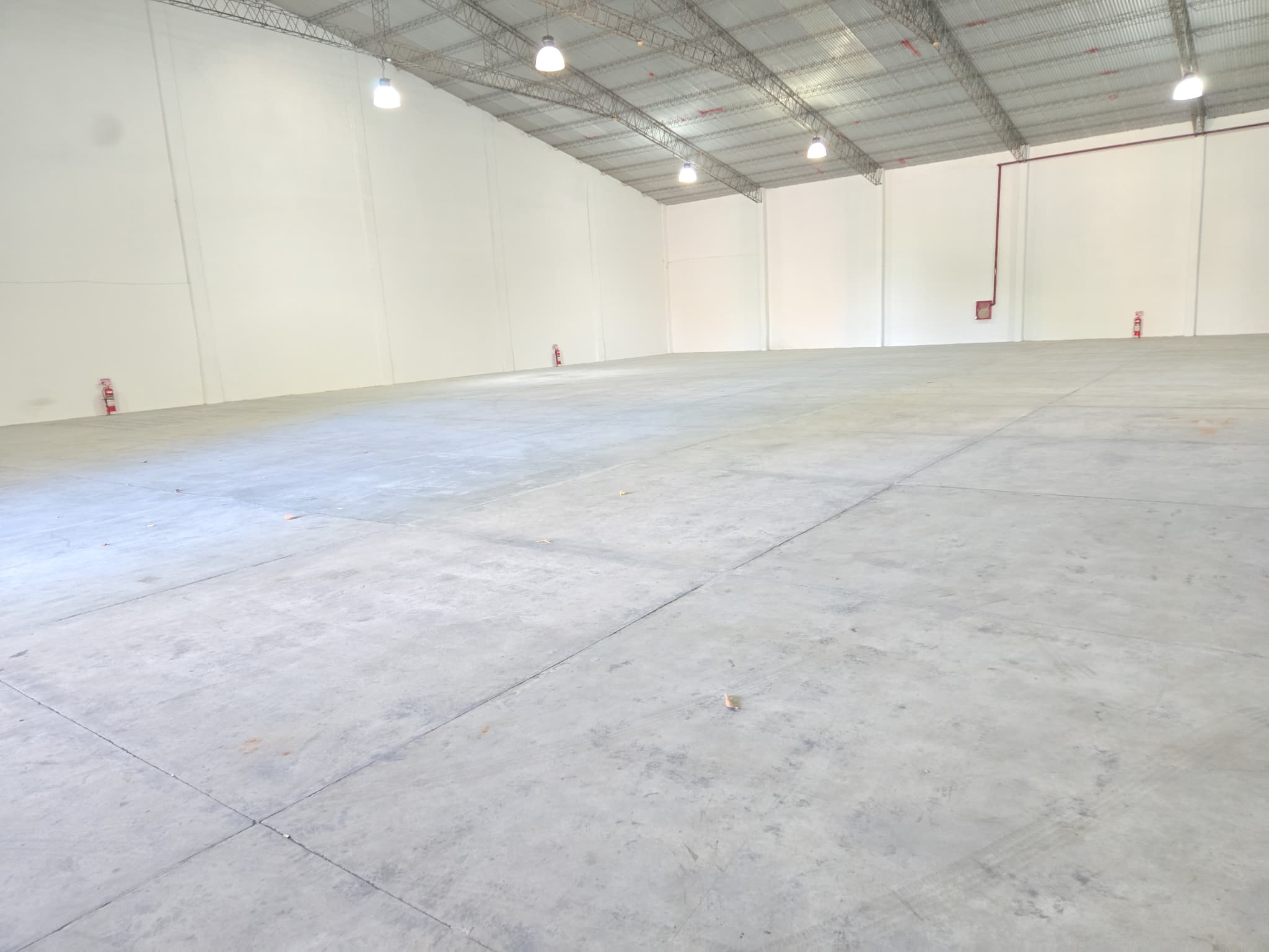 Deposito 900 m2 al lado de Distrito Perseverancia ( zona Artigas/Brasilia) — foto 5