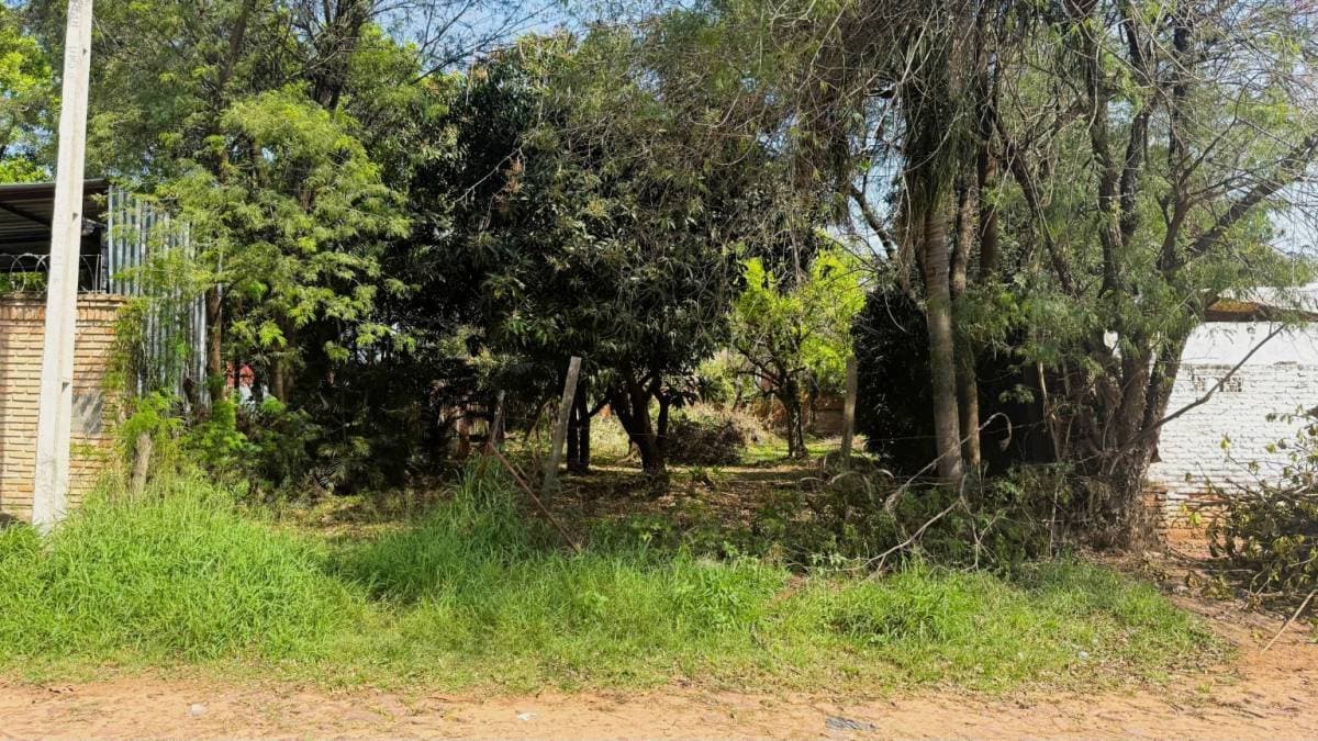 TERRENO EN Luque (Entrada al Barrio Palma Loma), foto 4
