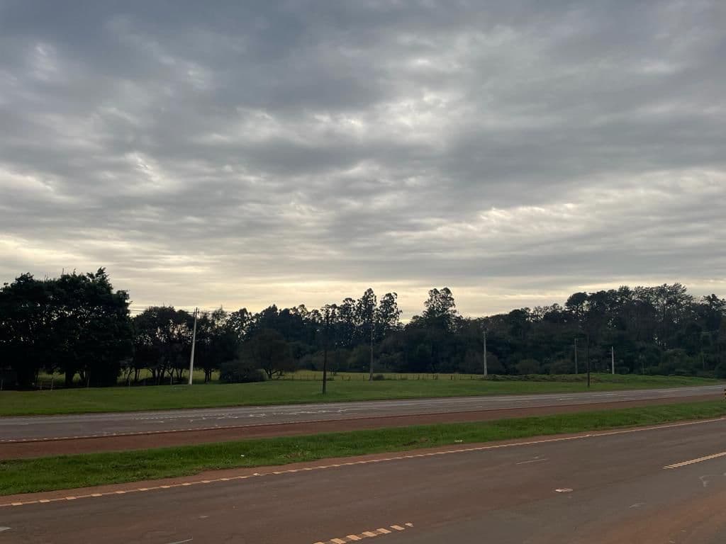 19,4 hectáreas en Minga Guazu a 200 metros sobre ruta 2, foto 4