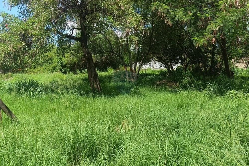 Terreno venta Mariano Roque Alonso
