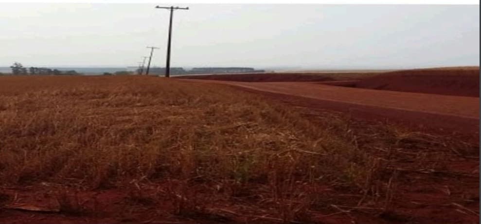 Campo de 63 Hectáreas en Alto Paraná, Los Cedrales-CLCS5607358, foto 2