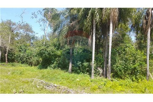 Terreno - Venta - Paraguay Cordillera San Bernardino - Urbanización el cortijo, foto 5