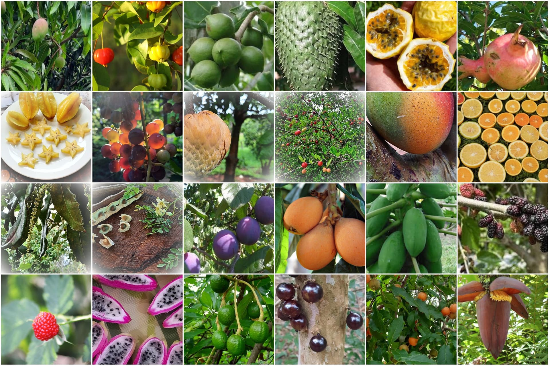 ???? Paraíso natural "eco-felicitas" en venta en paraguay ????, foto 5