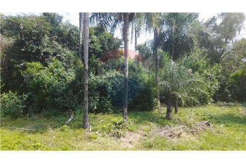 Terreno - Venta - Paraguay Cordillera San Bernardino - Urbanización el cortijo, foto 2