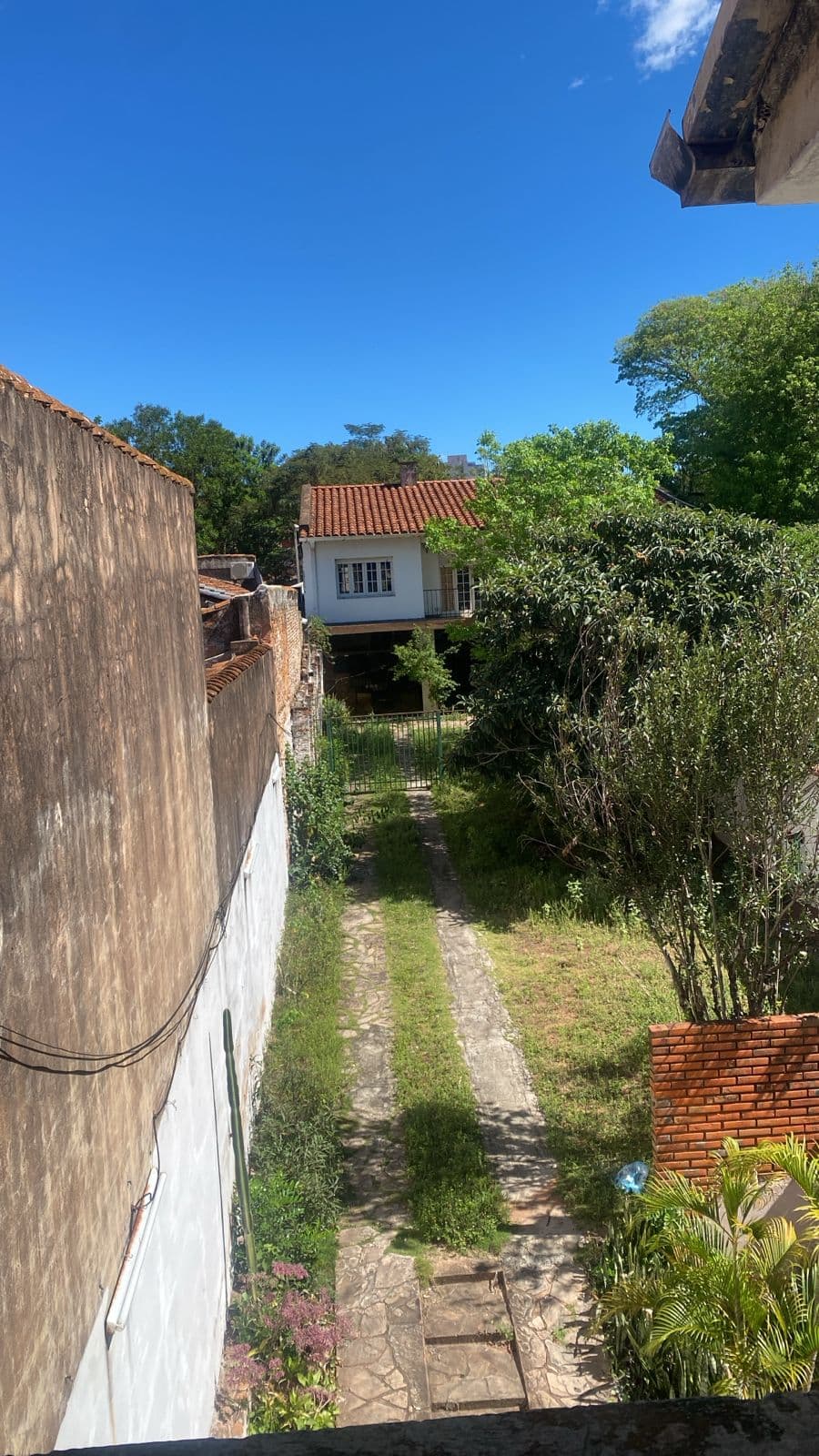 Inmueble con renta — foto 3