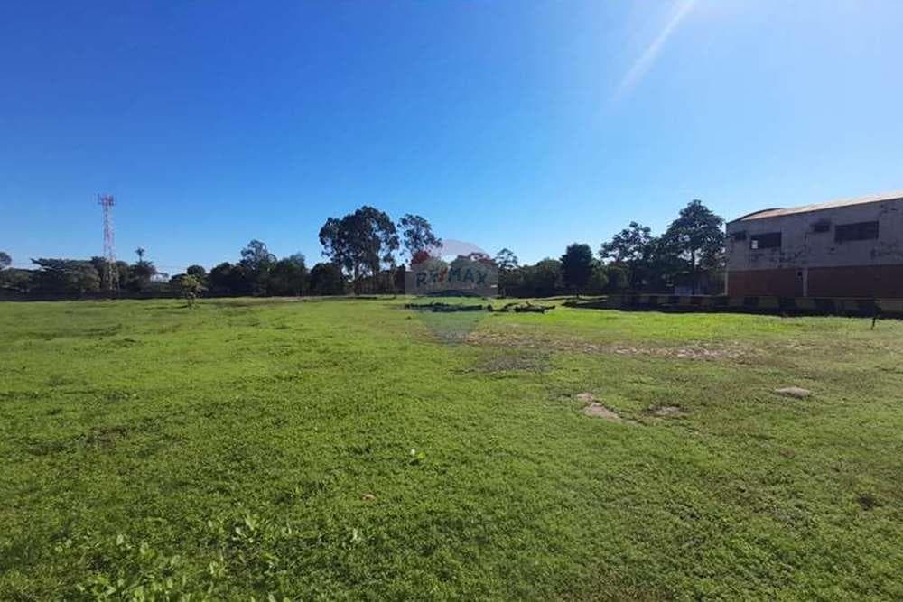 Terreno de 12.466 m2 en Luque, Zona Laurelty, foto 2