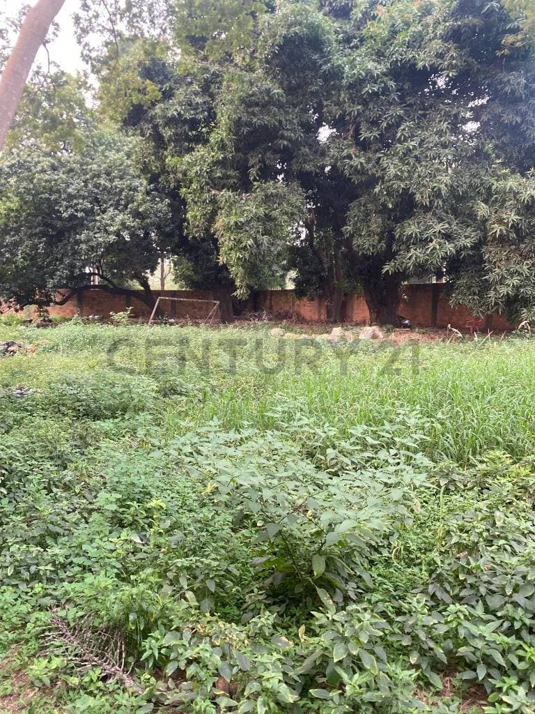 Terreno en lambare, foto 1