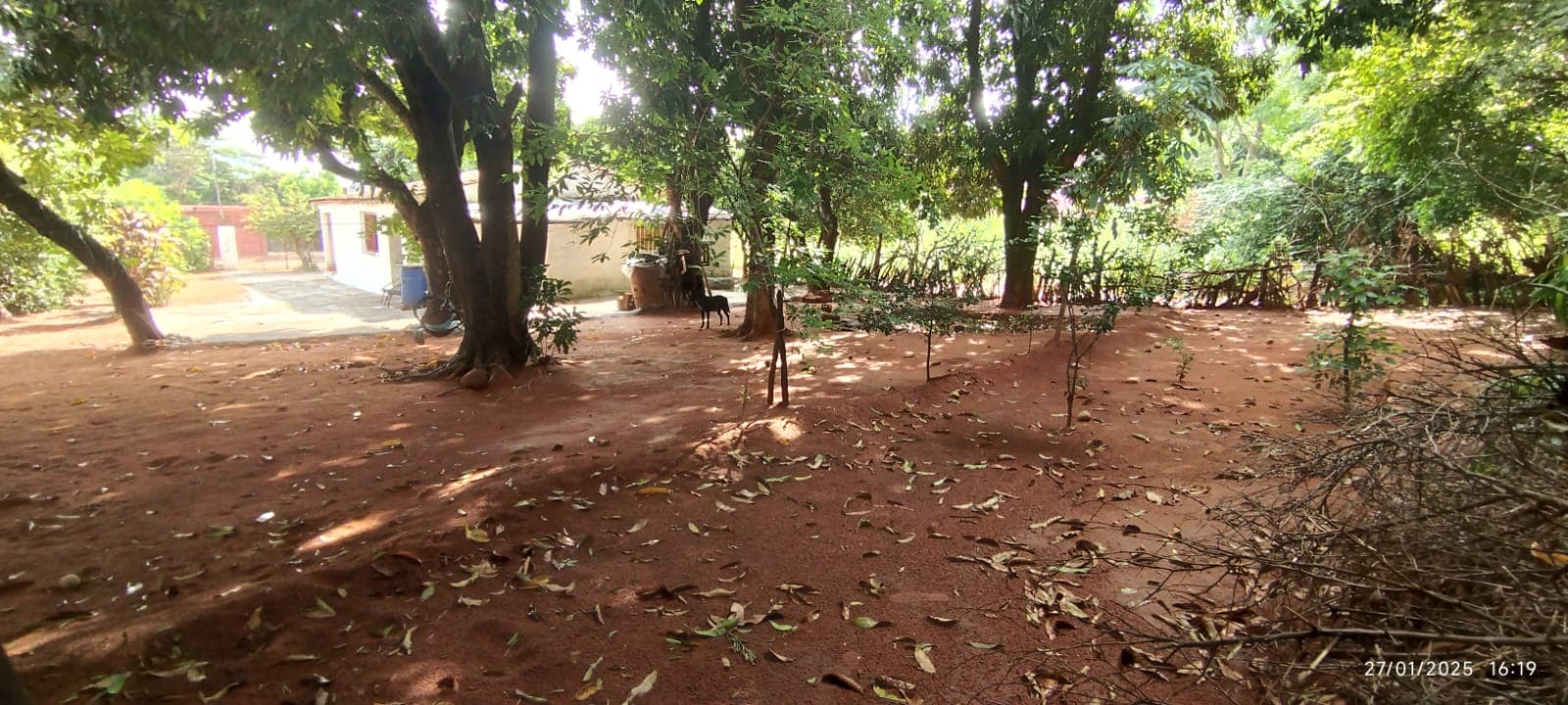 terreno de 427 m2 mas casa a refaccionar en Ñemby Mbokajaty, foto 5