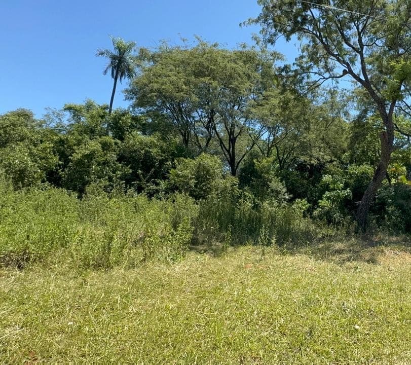 San Bernardino en venta terreno de 672 m2 a pasos de los alpes, foto 2