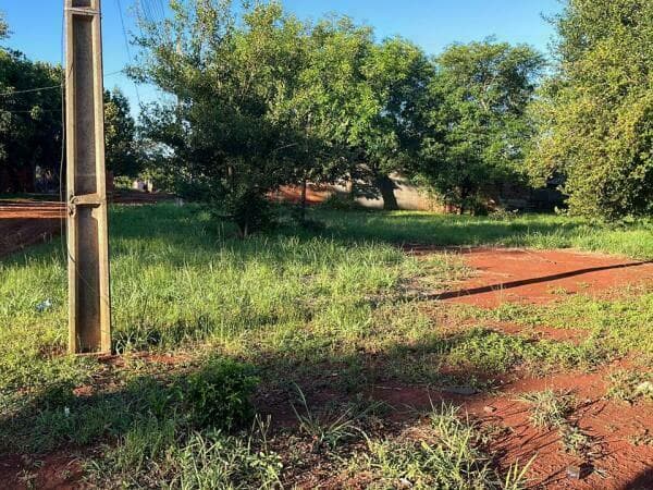Se venden 2 terrenos juntos en esquina km 10 acaray, foto 3