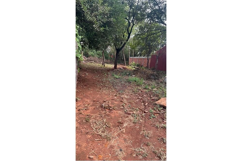 Terreno en Luque, foto 2