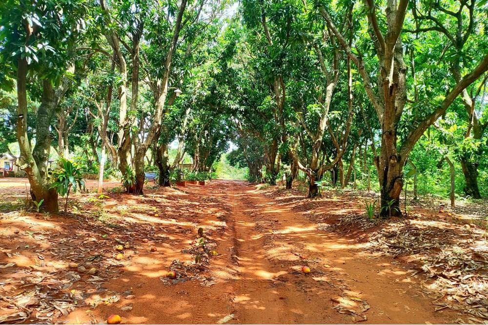 Amplio terreno en Venta Bº SAN ANTONIO - Areguá, foto 3