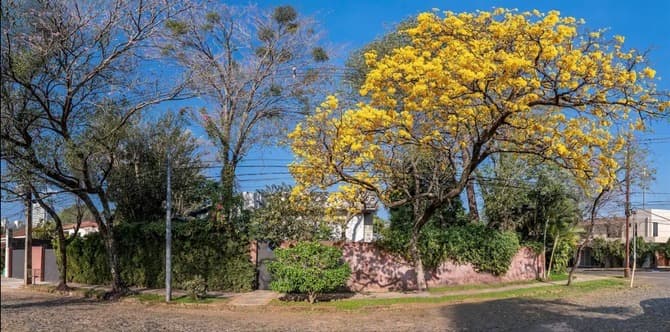 En venta exclusiva residencia en ykua satí - 690 mil usd! — foto principal