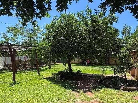 Amplio terreno en zarate isla, Luque, foto 2