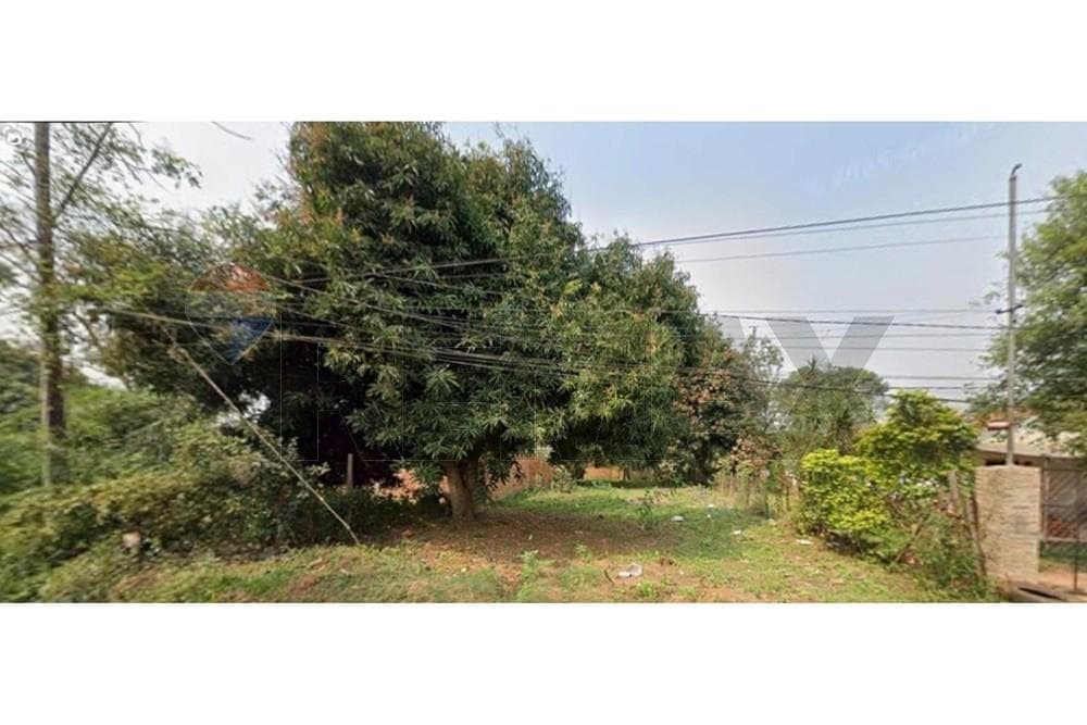 Terreno en Luque, foto 2