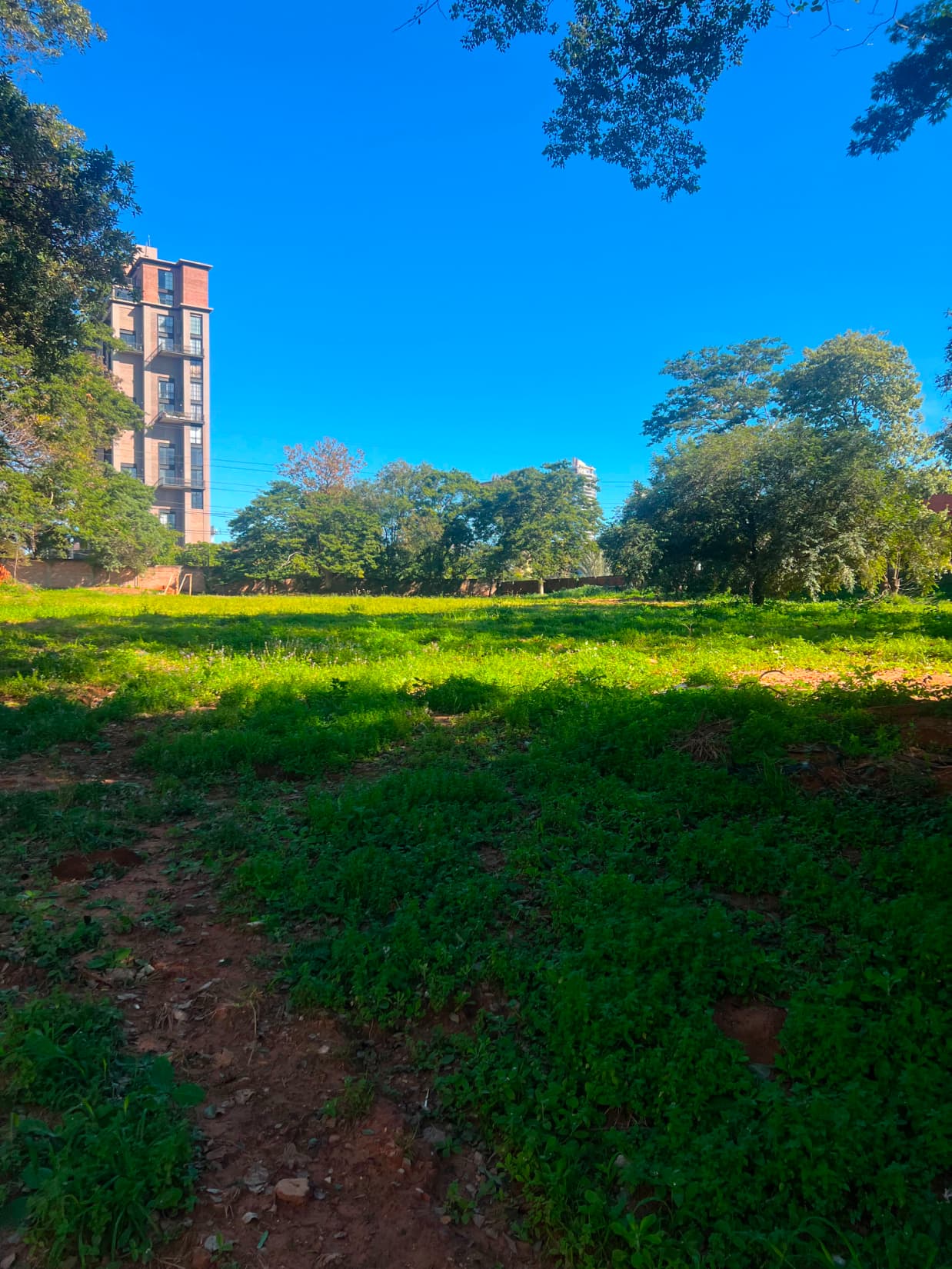 Terreno 6814m² sobre primer presidente, mburucuyá, foto 2