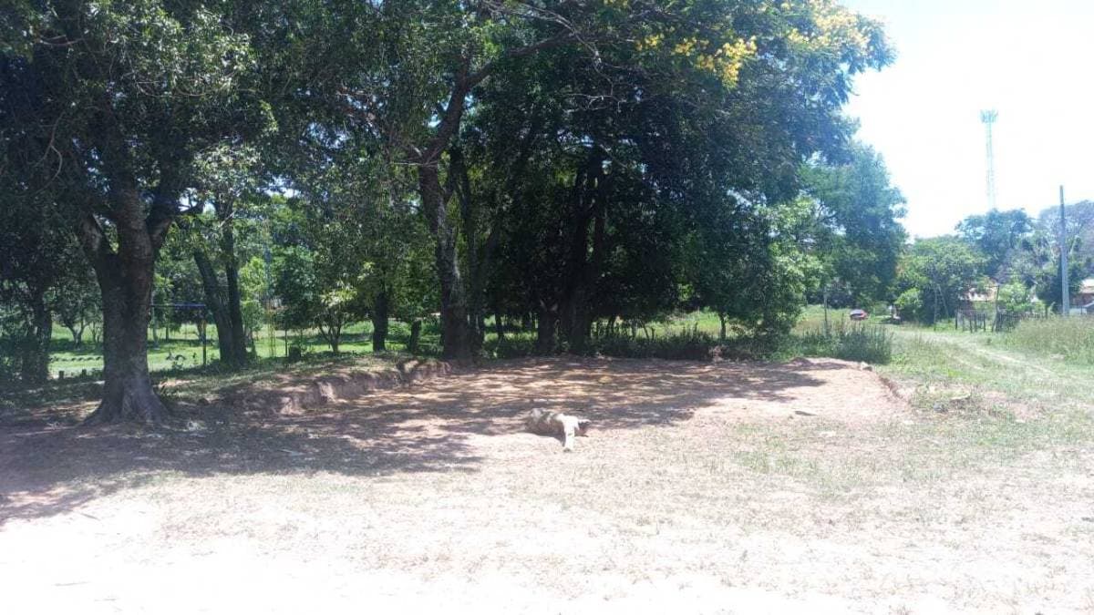 Vendo terreno en Luque