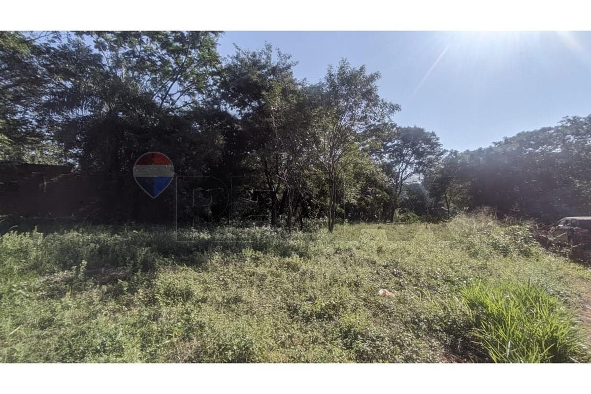 Terreno de 360 m2 en Zárate Isla, Luque, foto 4