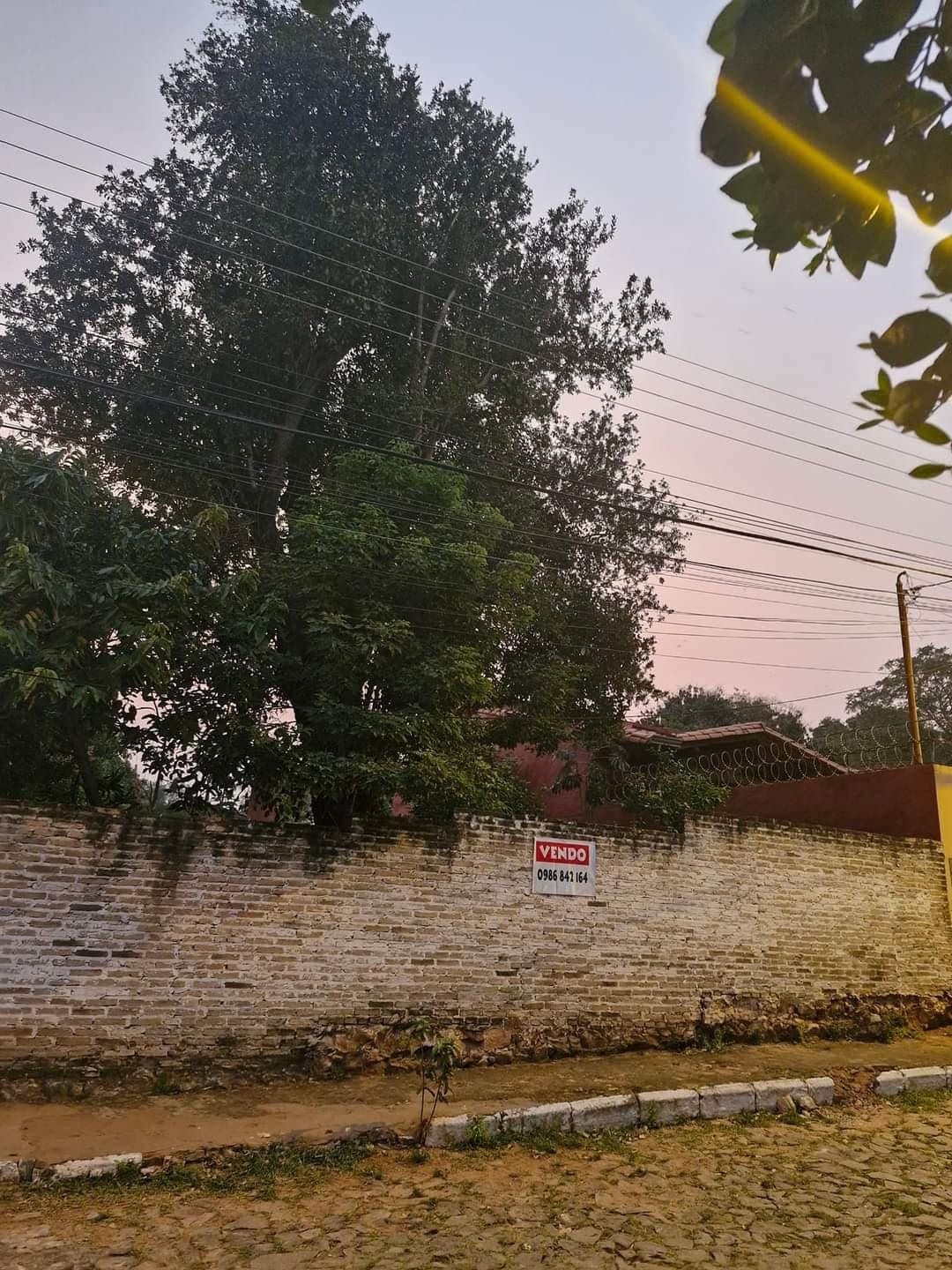 Hermoso terreno en lambare, foto 2