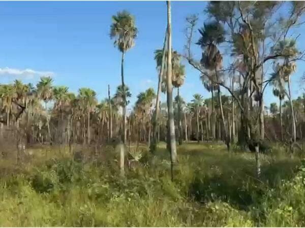 Vendo estancia en presidente hayes