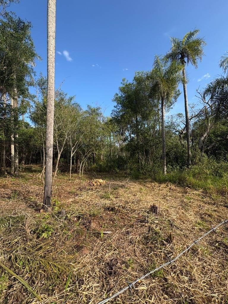 Terrenos en Zona Anfiteatro – San Bernardino. Lote 20 y Lote 21, foto 2