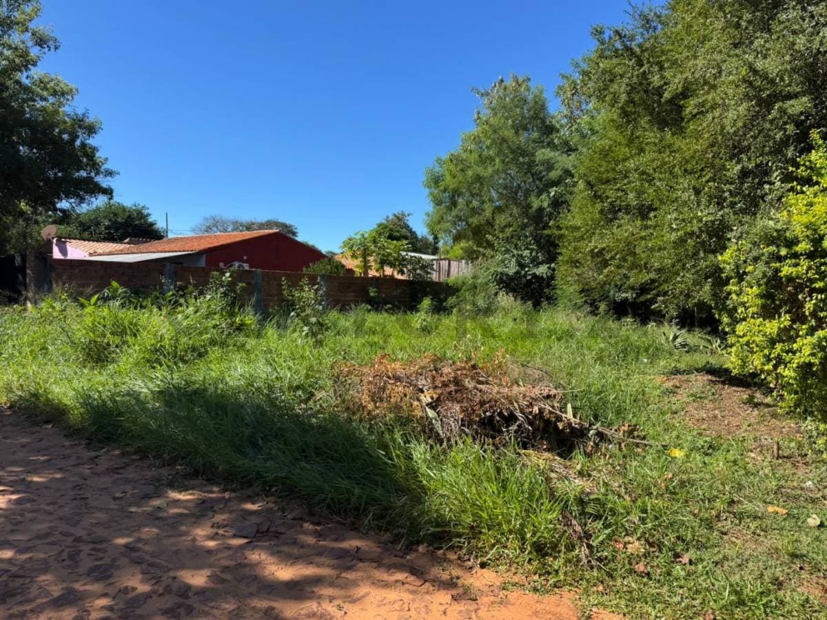 Terreno en Luque, foto 4