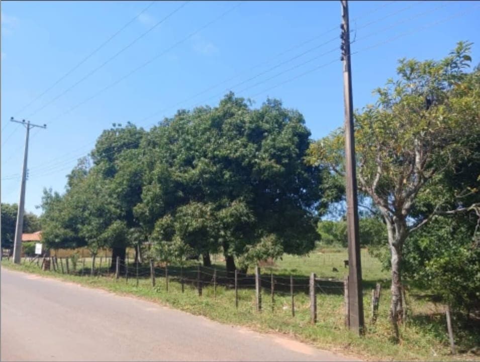 De Terreno De 1424 M2 En Nueva Italia, Sobre Asfalto, foto 2