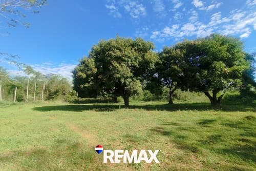 Terreno-Venta-Pindolo Areguá, Pindolo, Aregua, Central, foto 3