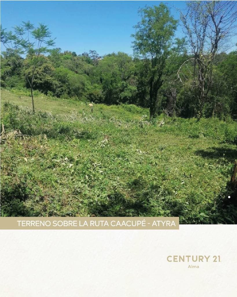 - Terreno exclusivo 3 ha sobre Ruta Caacupé-Atyrá - Cordillera, foto 3