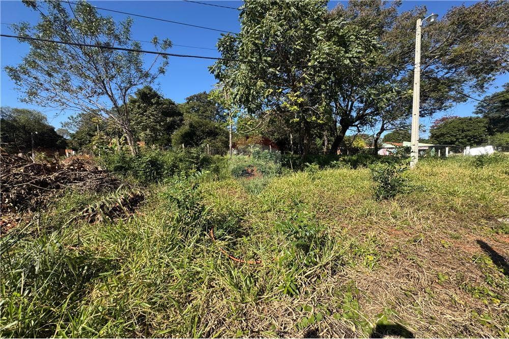 AMPLIO TERRENO EN Ñemby salida de calle a calle 11x50 m (550 m²), foto 4