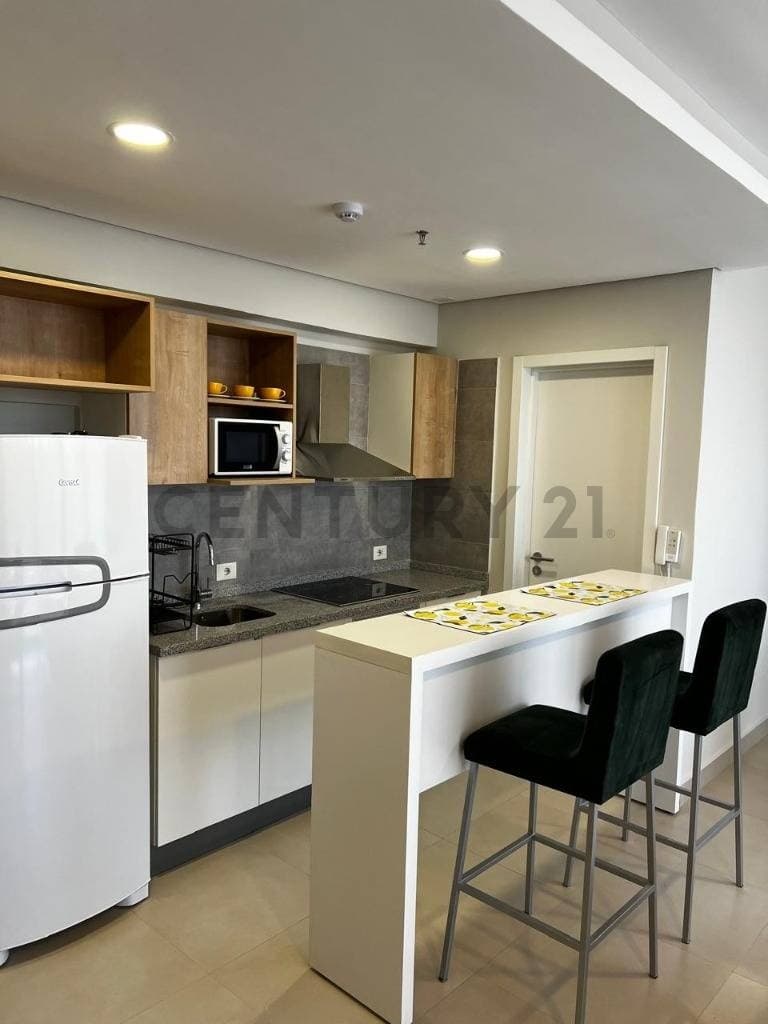 departamento de 2 dormitorios amoblado en Boulevard Plaza Pinedo, foto 3