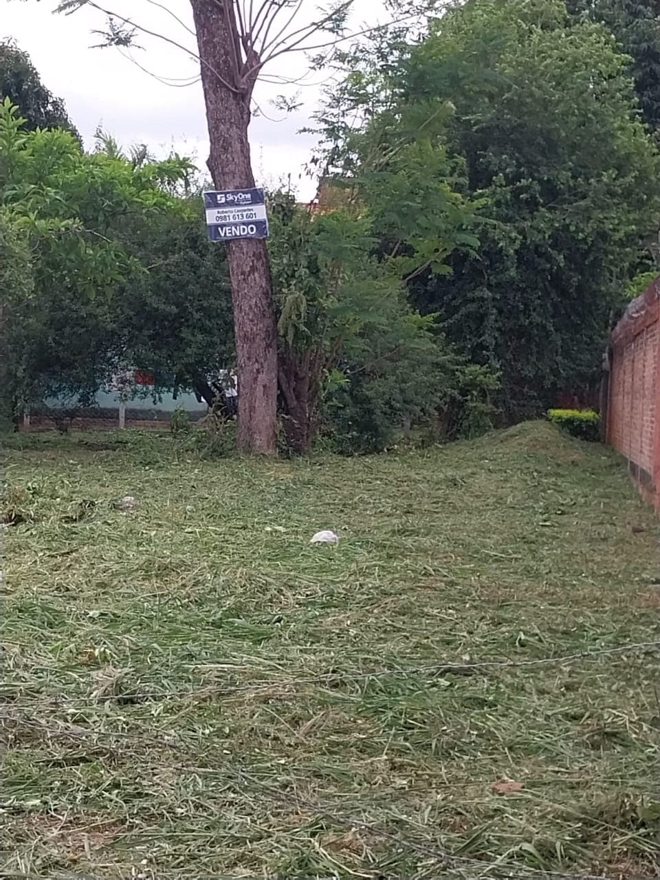 Terreno Excelente Ubicación, foto 1