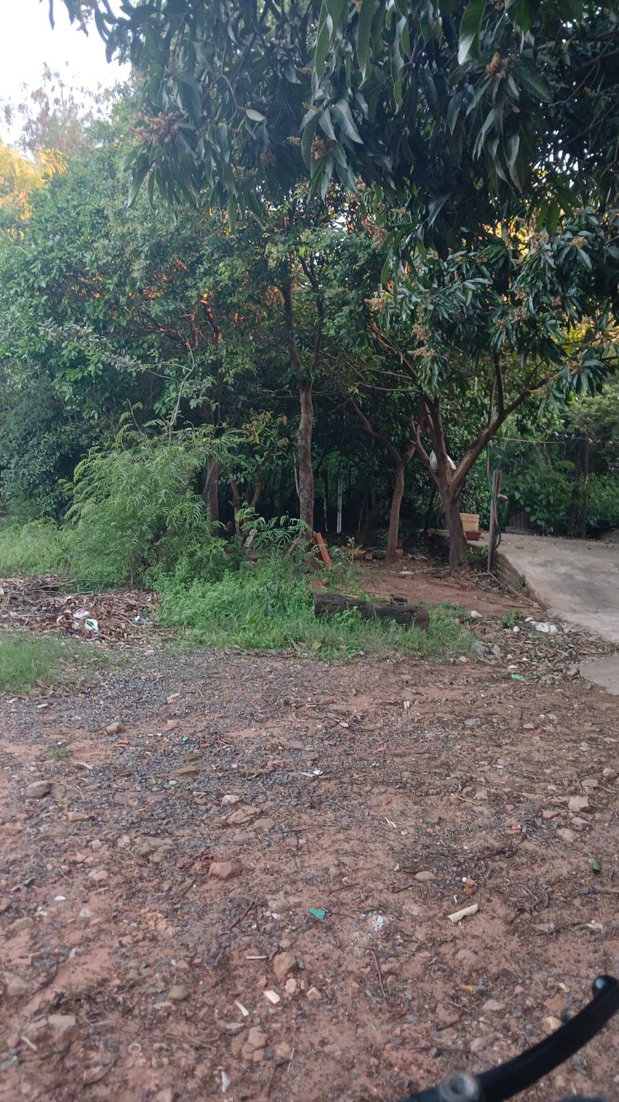 Terreno en esquina en barrio maría auxiliadora- San Lorenzo, foto 2